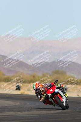 media/Feb-04-2023-SoCal Trackdays (Sat) [[8a776bf2c3]]/Turn 14 (115pm)/